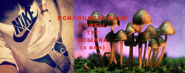 экстази Лиски