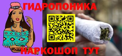 гашик Аргун