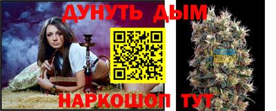 гашик Аргун