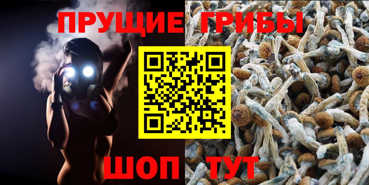 Псилоцибиновые грибы Magic Shrooms Усинск