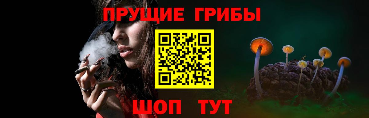 Галлюциногенные грибы прущие грибы  Усинск  Псилоцибиновые грибы Cubensis 